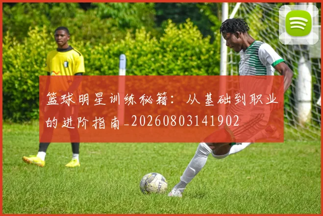 篮球明星训练秘籍:从基础到职业的进阶指南_20260803141902