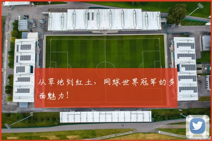从草地到红土，网球世界冠军的多面魅力！