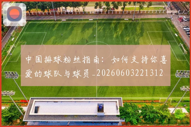 中国排球粉丝指南:如何支持你喜爱的球队与球员_20260603221312