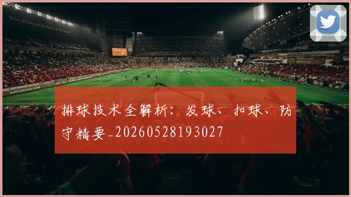 排球技术全解析:发球、扣球、防守精要_20260528193027