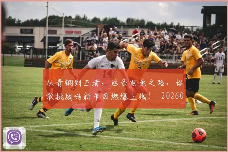 从青铜到王者,这条电竞之路,你敢挑战吗新节目燃爆上线!_20260703213516_20260718002710